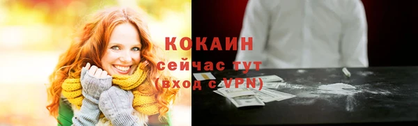 гидропоника Новозыбков