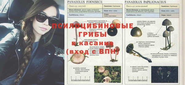 марки nbome Новодвинск