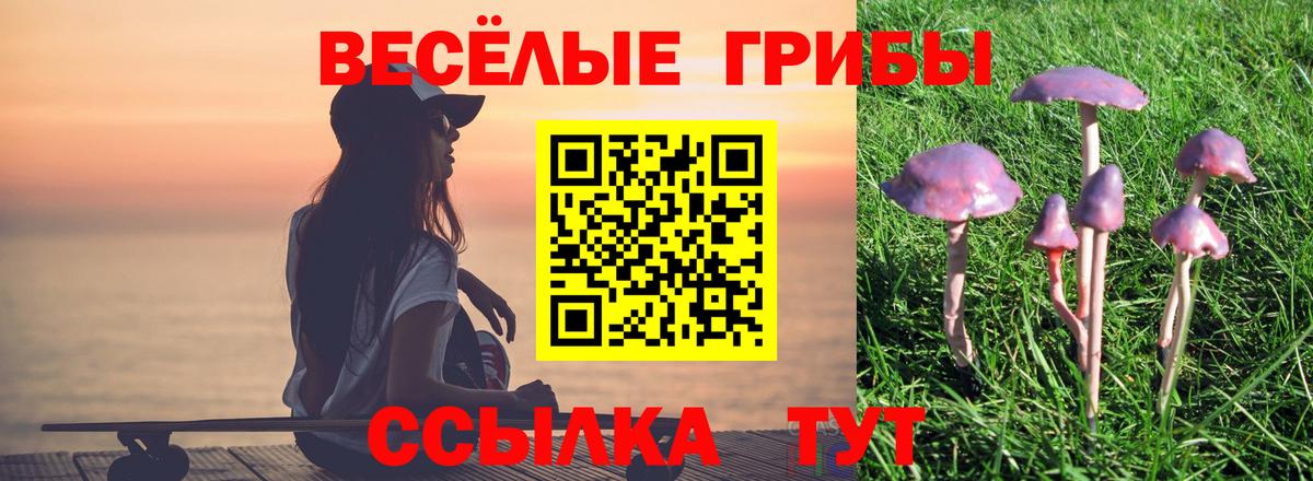Псилоцибиновые грибы прущие грибы Усть-Лабинск