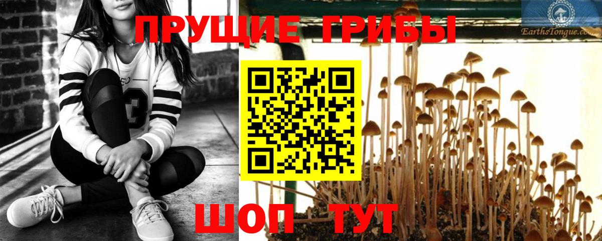 Псилоцибиновые грибы MAGIC MUSHROOMS  Галлюциногенные грибы мухоморы  Усть-Лабинск  Вход с VPN 