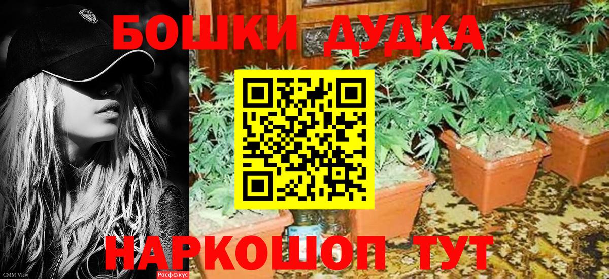 Бошки марихуана SATIVA & INDICA Усть-Лабинск